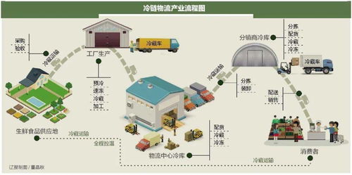 農(nóng)產(chǎn)品冷鏈物流建設(shè)加速，技術(shù)賦能保障食品安全與供應(yīng)鏈效率